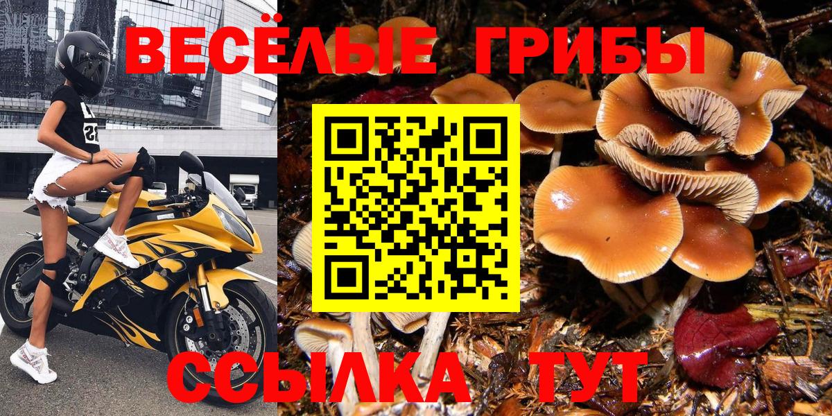 Галлюциногенные грибы прущие грибы Липецк
