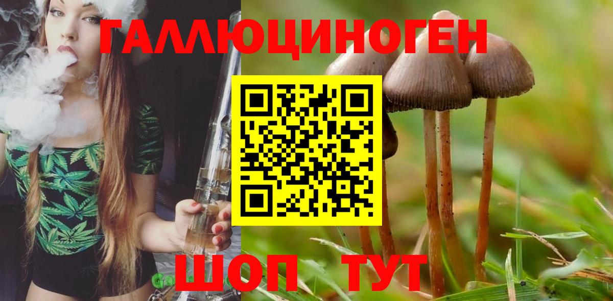 Липецк  Галлюциногенные грибы мухоморы  Вход с VPN  Галлюциногенные грибы MAGIC MUSHROOMS 